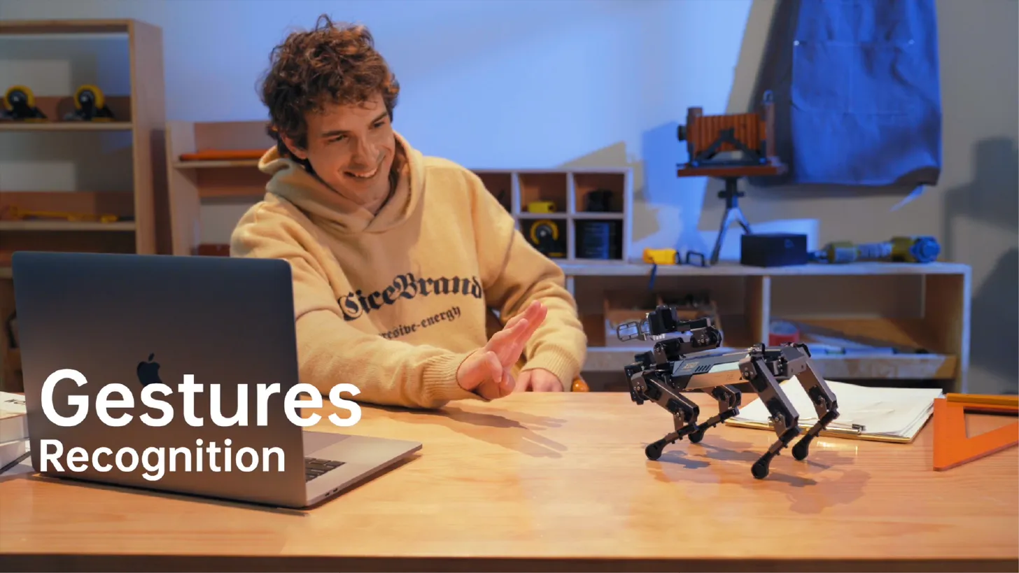 Gesture Recognition
