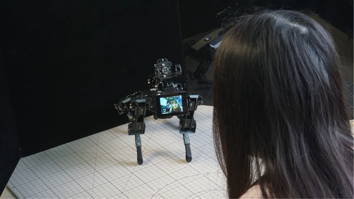 Face Detection