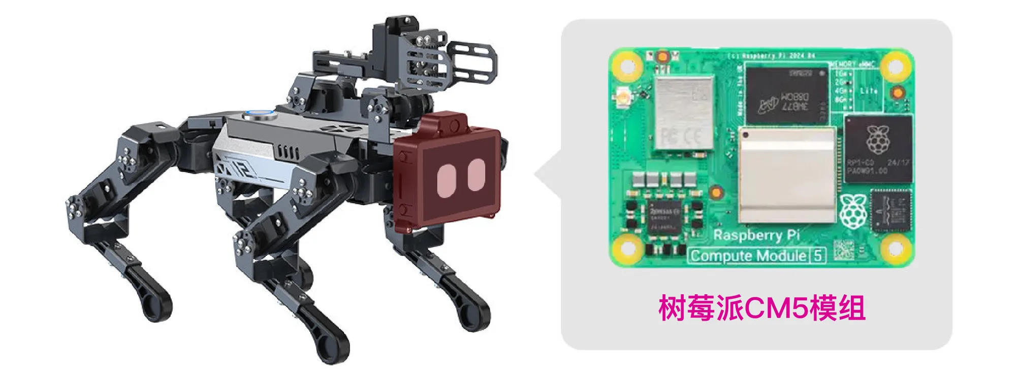 Integrated Raspberry Pi CM5 Module